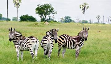 Abenteuer Hwange Nationalpark