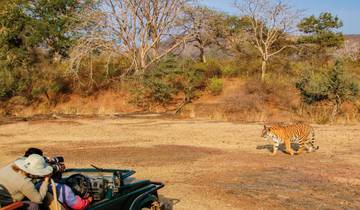 Goldenes Dreieck - Kultur & Wildlife