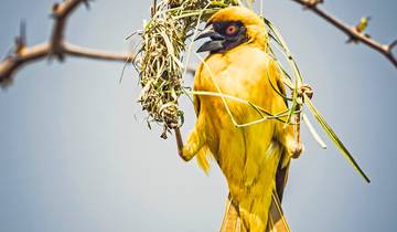 Namibia mit Kinderaugen