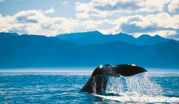 Natural Wonders of New Zealand (from Christchurch to Auckland)