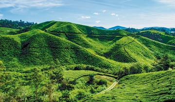 Best of Malaysia (voyage privé)