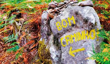 Wandern auf dem Jakobsweg - Die portugiesische Route an der Kuste intensiv Rundreise