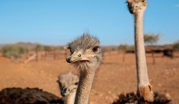 Fascination de la Route des Jardins, Karoo et Addo (tronçon)