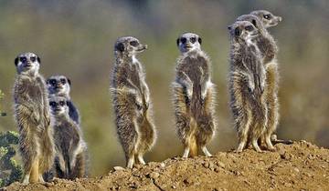 Fascination Garden Route, Karoo and Addo (partial route)