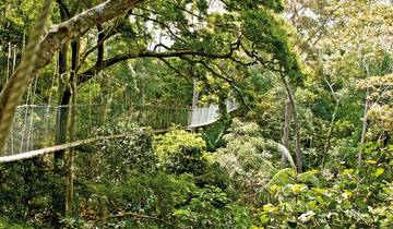 3 Days in Taman Negara, incl. Kuala Lumpur and National Park