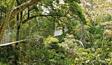 Taman Negara (2 Nachte)