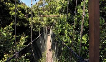3 Days in Taman Negara, incl. Kuala Lumpur and National Park