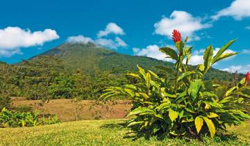 Green paradise (10 nights)