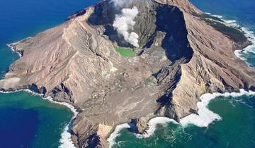 Kleine groepssafari (van Christchurch naar Auckland)