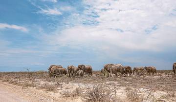 Ontdekkingsreis door Namibië (noordwaarts)-rondreis