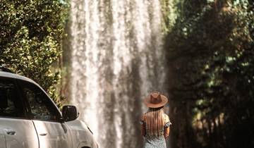 Récif & forêt tropicale