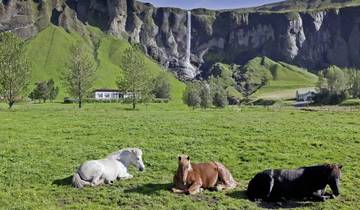 Autour de l'Islande - Sur la route circulaire (été)