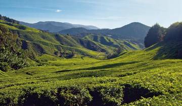 3 Days in Malaysia, incl. Kuala Lumpur and Cameron Highlands