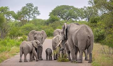 Vliegend bezoek aan Zuid-Afrika - kleine groepsreis