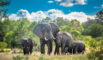 Visite guidée de l'Afrique du Sud - Voyage privé