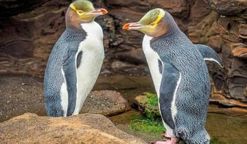 Klassische Neuseeland Rundreise