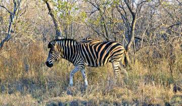 Panorama Sudafrika (Autoreise) Rundreise