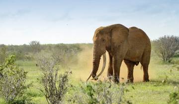 Kenya