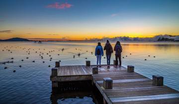 Vivre la Nouvelle-Zélande en toute conscience (from Christchurch to Auckland)