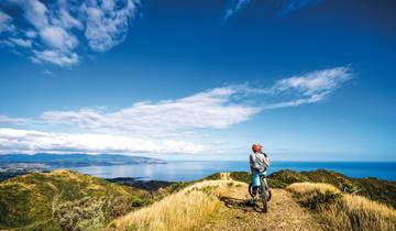 Vivre la Nouvelle-Zélande en toute conscience (from Christchurch to Auckland)
