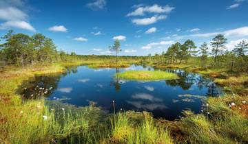 Stadtezauber und Inselwelt Rundreise