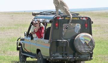 Masai Mara Fly-In Safari Superior from/to Nairobi Tour