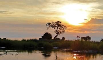 At the pulse of nature