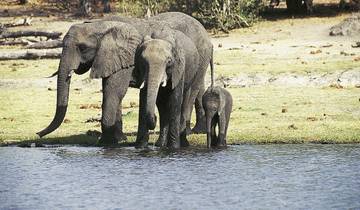 Victoria Falls & Safari Adventure from/to Victoria Falls