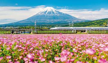 Hohepunkte Japans (nur Landprogramm)