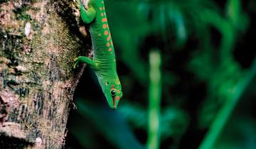 Natural paradise Madagascar