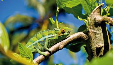 Natural paradise Madagascar