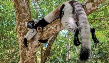 Natural paradise Madagascar
