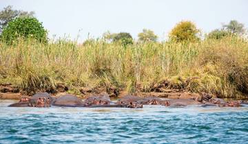 Namibia & Botswana auf eigene Faust Rundreise