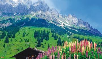 Alpe-Adria-Radweg