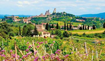 Car tour from culture to pleasure in Tuscany