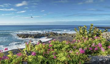 Wandelen over de hoogtepunten van Tenerife