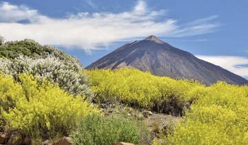 Hiking Tenerife's highlights