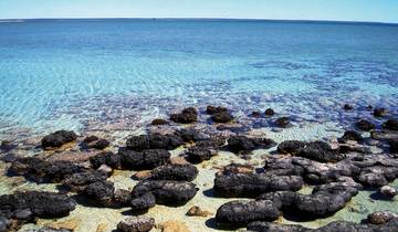 3 Day Western Australia Itinerary, incl. Perth and Albany