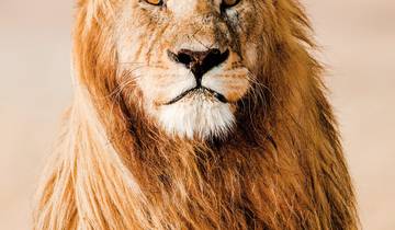 Mpumalanga - Im Reich der wilden Tiere Rundreise