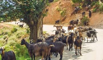 Autotour Das Beste von Sardinien und Korsika