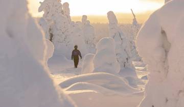 Les plaisirs de l'hiver en Laponie finlandaise
