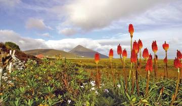 Stately Ireland