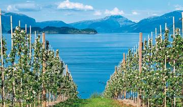 Norwegen entspannt erleben