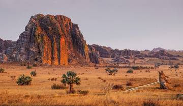 Hohepunkte Madagaskars