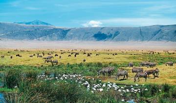 Avontuur Tanzania-rondreis