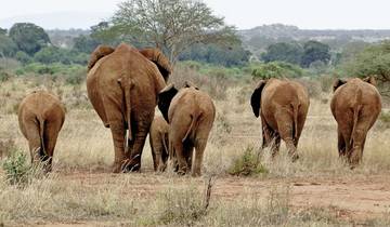 Tsavo Adventure