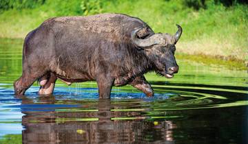 Botswana, Namibia, Simbabwe - Caprivi