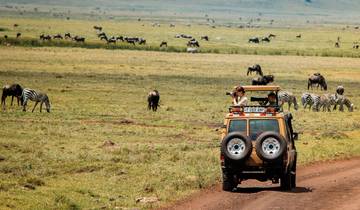 La ferme de Gibb et le Four Seasons Serengeti circuit