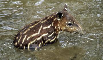 Treasures of Costa Rica private tour