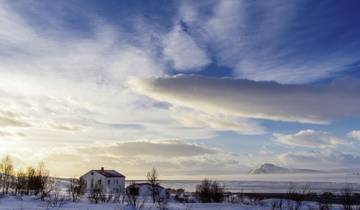 Nordlichter & heisse Quellen